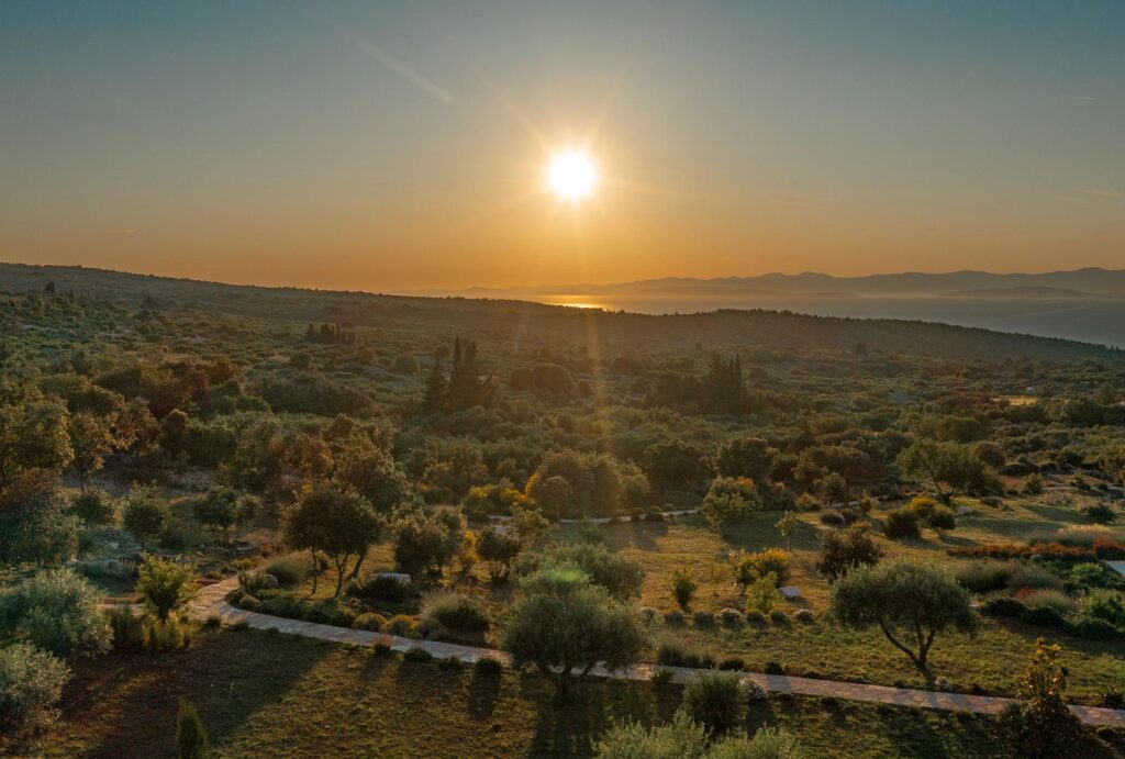 Villa-Johanna,-Skrip,-Brac-Island-(12)