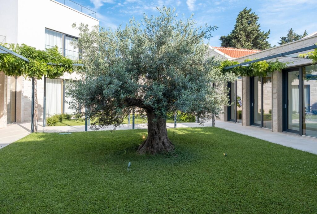 Villa-Johanna,-Skrip,-Brac-Island-(52)