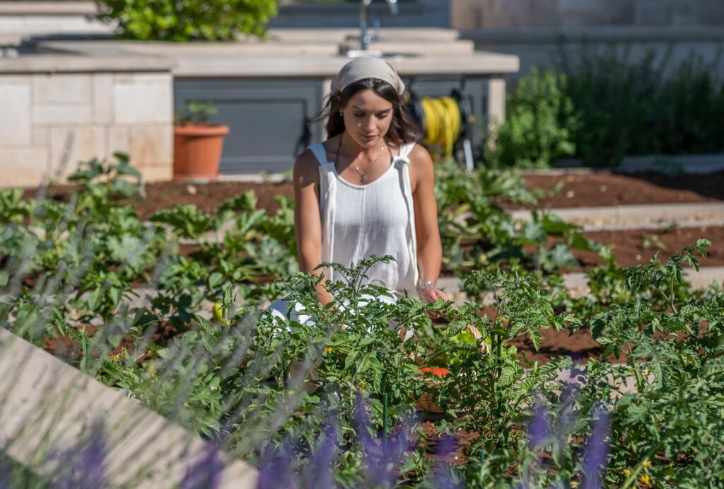 Villa-Johanna,-Skrip,-Brac-Island-(57)