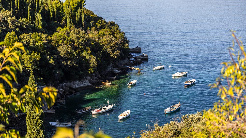 Villa Palma, Molunat Bay, Dubrovnik Riviera (12)