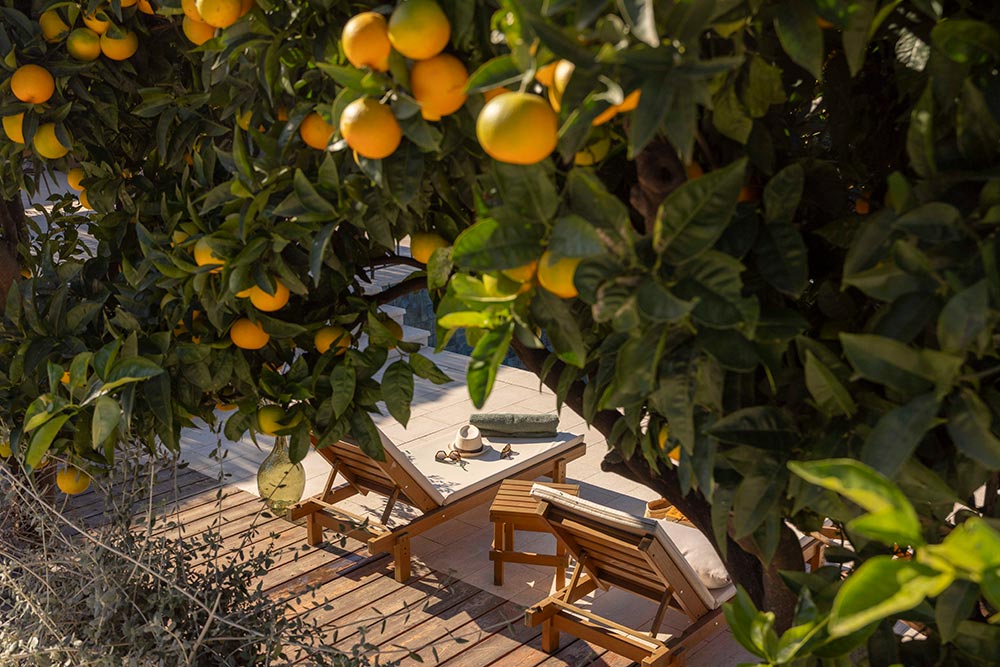 Villa Palma, Molunat Bay, Dubrovnik Riviera (15)